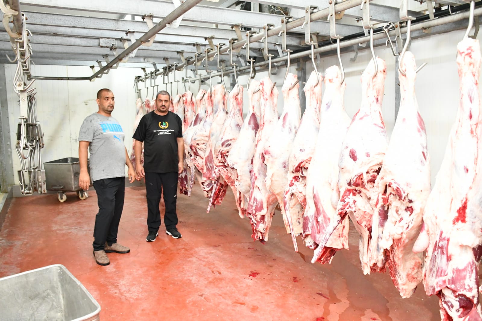 WhatsApp Image 2020-07-31 at 11.28.30 AM (1).jpeg.jpeg